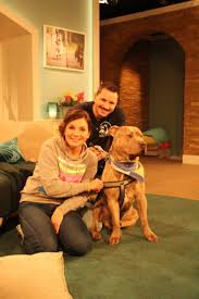 Der kleine „muck, 3 monate alt. Wdr Tiere Suchen Ein Zuhause Tierheim Duisburg