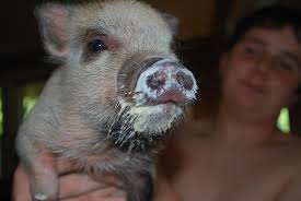 Relationship Issues and Cheating Husbands