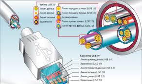 There are a lot of cables involved when getting a computer connected and ready to run. Diagram Wiring Diagram For Usb Mouse Full Version Hd Quality Usb Mouse Diagramclunev Gisbertovalori It