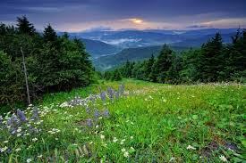 Huge collection, amazing choice, 100+ million high quality, affordable rf and rm images. Wvmountainstatenews Com