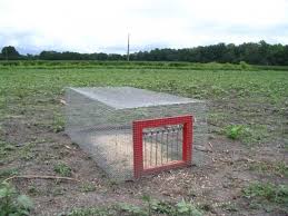Maybe you would like to learn more about one of these? Pigeon Trap Bhm Forum Bird Trap Pigeon Hog Trap