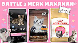 Royal canin makanan kucing mempunyai kelebihan yaitu dapat mencegah kerontokan pada bulu kucing yang biasanya disebebkan oleh faktor iklim dan cuaca. Royal Canin Equilibrio Dan Bio Di Cat Food Battle Mana Yang Menang Youtube