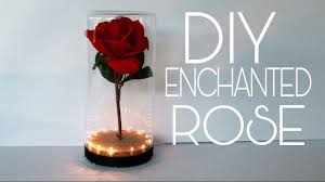 See more ideas about enchanted rose, rose, beauty and the beast. Diy Beauty And The Beast Enchanted Rose Bridesmaid Gifts Mothers Day Gift Youtube