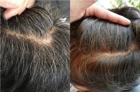 Black cumin seeds powder 3. Here Is The Best Way To Cover Your White Hairs Naturally Bee Choo Ladies