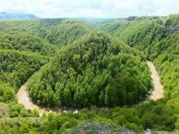 Copalnic 0 oferte la 15 1 km surdești 0 oferte la 20 9 km cavnic 1 oferte la 23 4 km remetea chioarului 0 oferte la 25 1 km baia. Cazare La Pensiunea Marissandra Din Targu Lapus Maramures 3