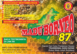 Apa Itu Norovirus Masalah Kesehatan Yang Tengah Mewabah Di Cina Joglosemar News