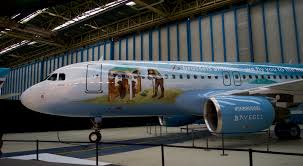 Brussels Airlines met Bruegel à l'honneur sur son 6e avion aux couleurs de  la Belgique | BX1