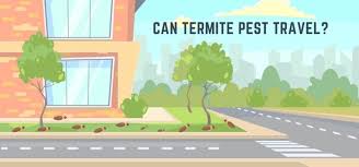 Sk pest management's termite control methods. Termite Treatment Singapore Can The Termite Pest Travel