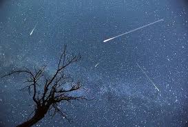 We did not find results for: 9 Shooting Star Y TÆ°á»ng Trong 2021 Sao BÄng MÆ°a Sao BÄng Hinh áº£nh
