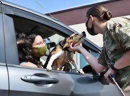Your east nashville animal clinic, where we treat each pet like one of our own. Trust Allows Camp Zama Veterinary Team To Accomplish Mission Under Covid 19 Article The United States Army