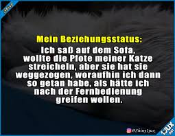 Lustige Spruche Singleleben Witzige Spruche Lachen