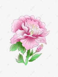 手繪 牡丹 花 google search lotus flower tattoo flowers flower tattoo