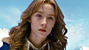 LA NOCHE DEL CHIHUAHUA