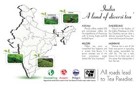 India is 2nd largest producers of tea. Suntips International Premium Tea Brand Delicious Indian Tea