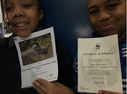 Animal Allies and The 2016 VA DC (FLL)First Lego League Tournament — Code  FNN