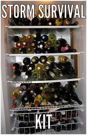 Wine Storm Survival Kit I Think I M Good Wine Humor Wine Quotes Wine Meme