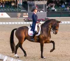 Holder of all three world records. Charlotte Dujardin Mount St John Freestyle Win Hartpury Cdi3 Grand Prix Dressage News