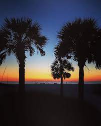 Wahoo's fish tacos founders ed and mingo lee and wing lam. Clearwater Beach Blog