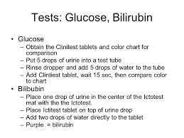 lab 41 urinalysis urine 180l day filtrate 1 8l day urine