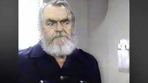 Detective in the House" Whatever Happened To...? (TV Episode 1985)