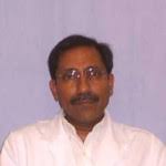 Best Pulmonologists Near Me in Bay Pines, FL