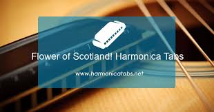 C g d g that fought and died for, your wee bit, hill and glen. Flower Of Scotland Harmonica Tablature Harmonica Tab For Flower Of Scotland
