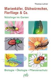 Die wichtigsten nützlinge im piortrait. Marienkafer Gluhwurmchen Florfliege Co Nutzlinge Im Garten Biologie Okologie Pflanzenschutz Lohrer Thomas Bauer Karin Bauer Karin Amazon De Bucher