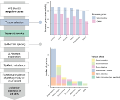 Genetics Of Mitochondrial Diseases Identifying Mutations To Help Diagnosis Ebiomedicine