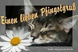 Schöne pfingsten gif frohe pfingsten lustig pfingsten bilder pfingsten wochenende grüße zum wochenende schönen sonntag muttertag blumenstrauß bilder fasching sprüche ostern. Pfingsten Frohe Pfingsten Pfingsten Pfingstgrusse