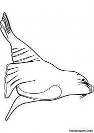 Printable Ocean Sea Lion Coloring Page For Kids Printable Coloring Pages For Kids Lion Coloring Pages Kids Printable Coloring Pages Coloring Pages