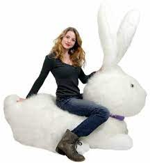 You can even put a little bow around the. Animals Big Stuffed Bunny Rabbits Big Plush Personalized Giant Teddy Bears Custom Stuffed Animals