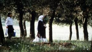 Through The Olive Trees Alchetron The Free Social Encyclopedia Like Someone In Love Inspirational Movies Movie Directors