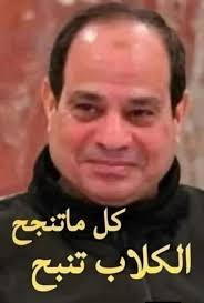 وشدد اللواء محمود توفيق على أن الوزارة تعمل جاهدة على تطوير قدراتها بما  يحقق الحفاظ على أعلى مستويات الحالة الأمنية داخل المجتمع، وتنفيذ المهام  المكلفين بها على أكمل وجه في ظل التهديدات