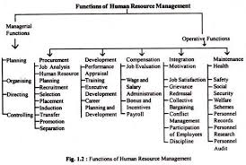 Functions Of Human Resource Management Resource Management Human Resources Human Resource Management