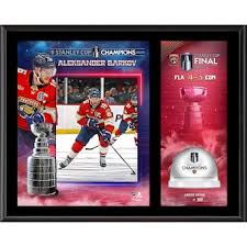 Florida Panthers Aleksander Barkov Home & Office Goods, Panthers Home  Goods, Flags Bedding, Kitchenware, Lawn Gear