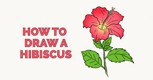 How To Draw Flowers And Trees Easy Drawing Guides Hibiscus Flower Drawing Flower Drawing Drawing Tutorial Easy