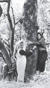 The chipko movement of 1973 was one of the most famous among these. Sage Reference Encyclopedia Of Geography