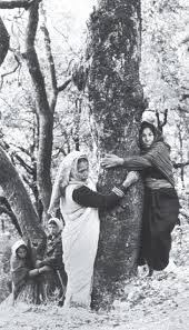 The chipko movement refers to the unique form of protest adopted by the rural people in the the first chipko action occurred in april 1973. Sage Reference Encyclopedia Of Geography