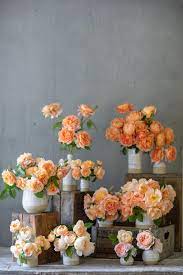 Part of the brilliance of the book lies in the writing. A Year In Flowers New Book By Erin Benzakein Cloverhome