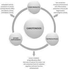 Maybe you would like to learn more about one of these? Carotenoids As Food Products Components And Health Promoting Agents Springerlink