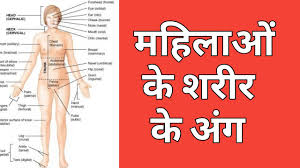 The shin bone is connected to the knee bone. Women Body Parts Name With Picture And Hindi Meaning Shabdkosh Dictionary English Vocabulary Youtube