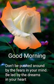 We did not find results for: Pin By Dev On Inspirational Quotes Good Morning Beautiful Quotes Good Morning Quotes Good Morning Inspirational Quotes