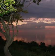 The company has been recognized for its work in pool and spa news' top 50 builders list. Premier Pool And Spa Project Photos Reviews Port Jefferson Station Ny Us Houzz