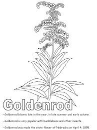 Although there have been bills to change the design, these bills have failed to pass, leaving the design unchanged. Goldenrod Coloring Page