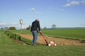 Maybe you would like to learn more about one of these? The 3 Best Lawn Edgers Of 2021 Buying Guide Reviews