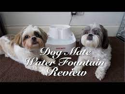Cat mate shell pet water fountain 3l (blue/white). Dog Mate Water Fountain Review Youtube