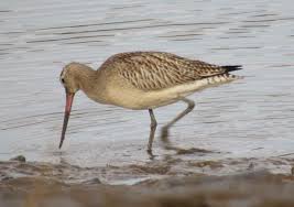 Barry Squires (@BarrySquires8)