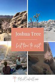 Best Time To Visit Joshua Tree National Park California Usa California National Parks Joshua Tree National Park Joshua Tree