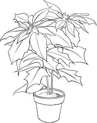 Free Printable Poinsettia Coloring Pages For Kids Flower Coloring Pages Coloring Pages Printable Christmas Coloring Pages