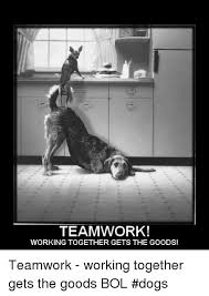 Pin By Zsolt Jando On Work Teamwork Quotes Funny Motivational Quotes Funny Teamwork Quote Coolest, funniest and the dankest teamwork memes.